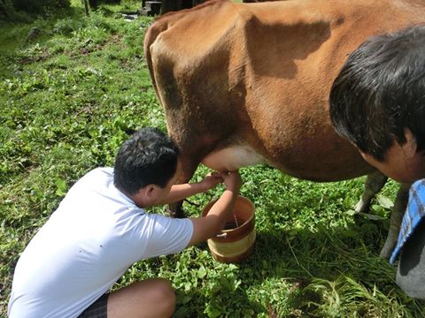 10269522_1395180830792205_1458739560525361377_n